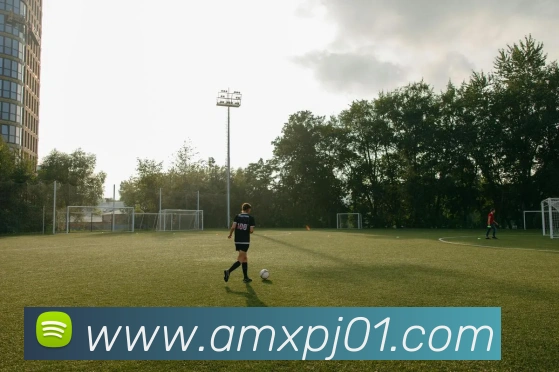 新葡京官网APP 体育赛事宣传图